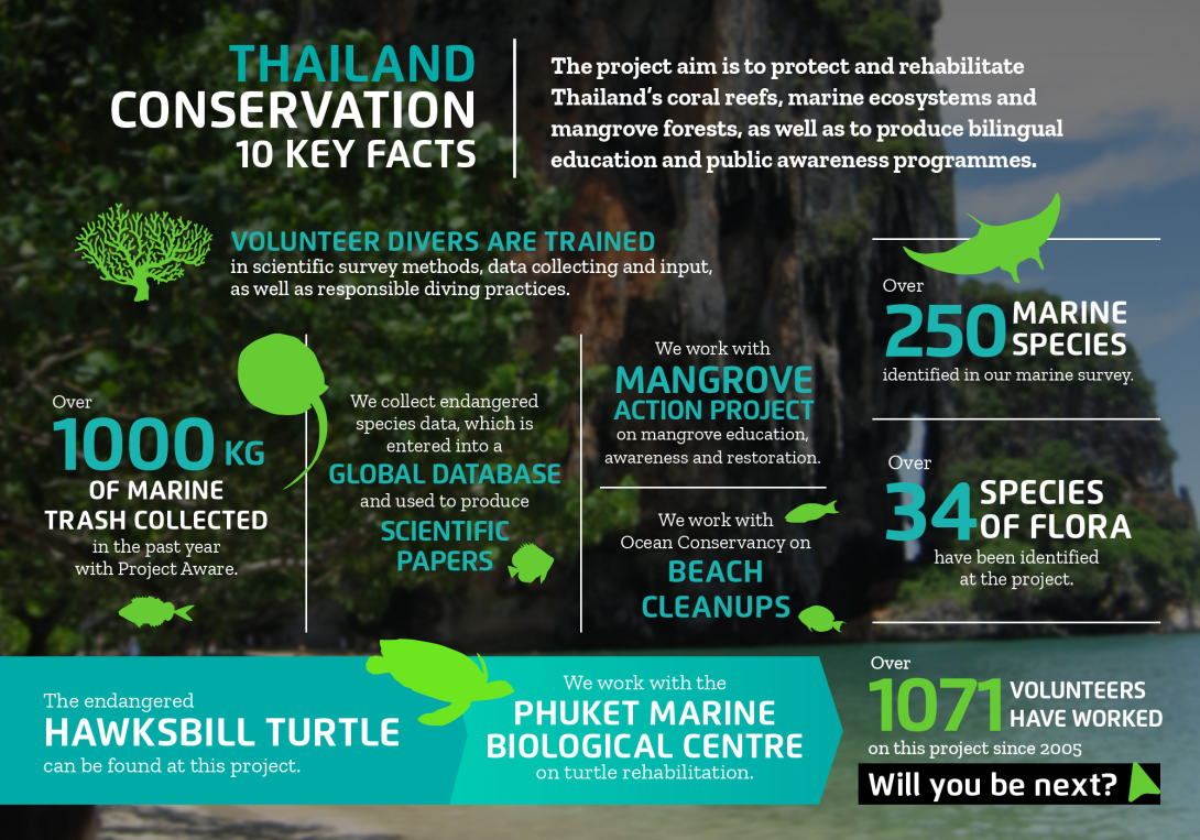 The impact you will make on the conservation diving volunteer project in Thailand with projects abroad Interesting facts about conservation volunteering in Thailand with projects abroad